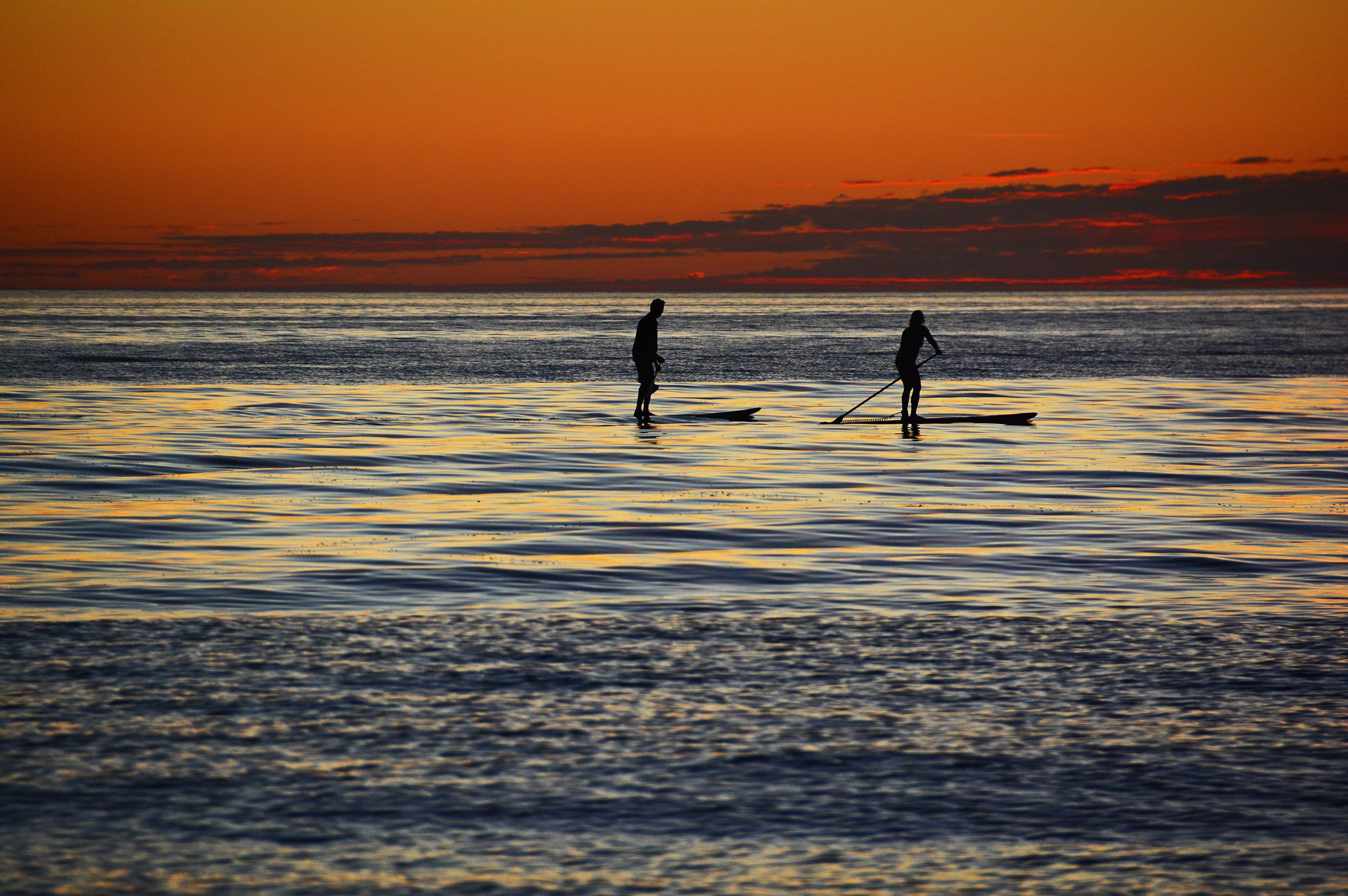 Silhouettes of two paddle boarders on a calm sea at sunset.